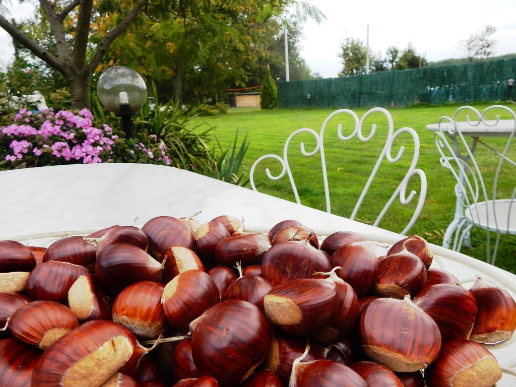 Bed&Breakfast La Siepe Пинероло Экстерьер фото