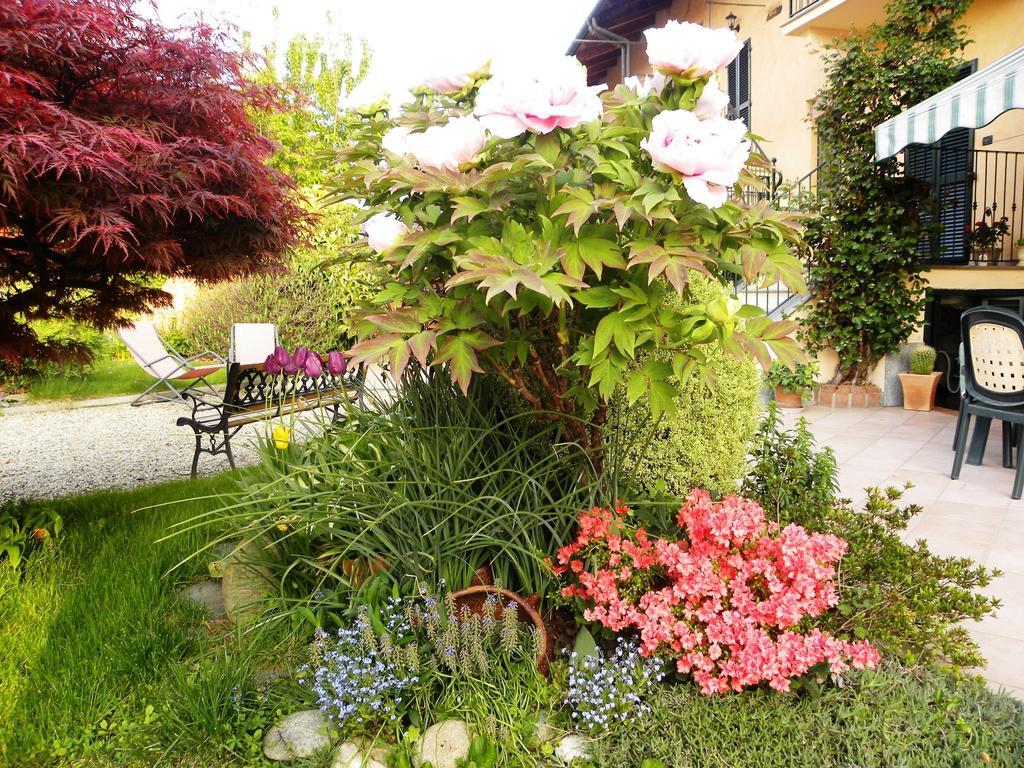 Bed&Breakfast La Siepe Пинероло Экстерьер фото